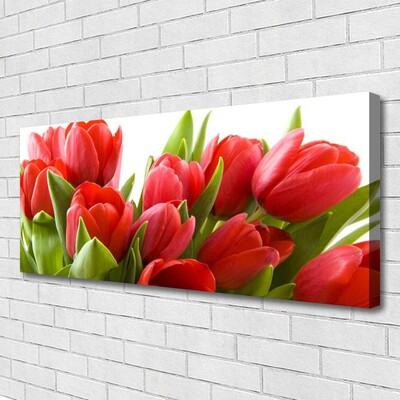 Quadro canvas Tulipas Flores Planta
