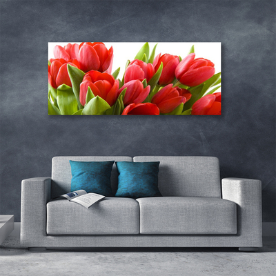 Quadro canvas Tulipas Flores Planta
