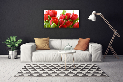 Quadro canvas Tulipas Flores Planta
