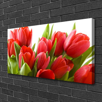 Quadro canvas Tulipas Flores Planta