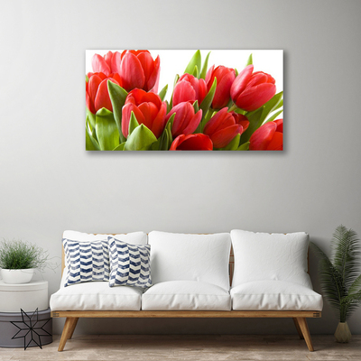 Quadro canvas Tulipas Flores Planta