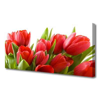 Quadro canvas Tulipas Flores Planta