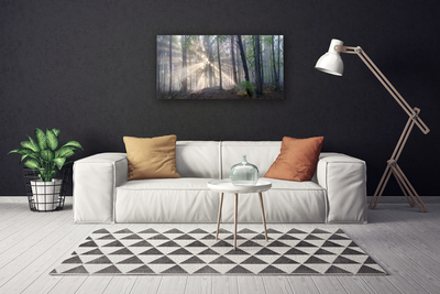 Quadro em tela Floresta Natureza Árvores