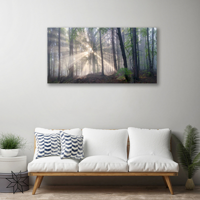 Quadro em tela Floresta Natureza Árvores