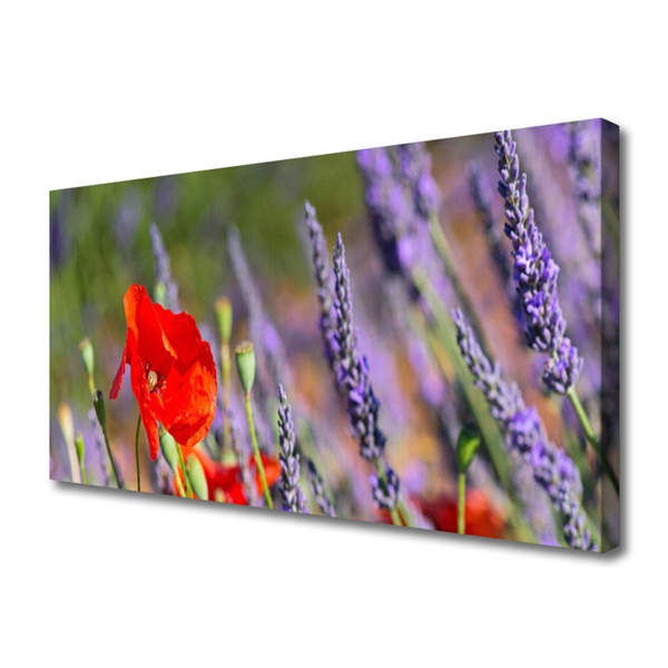 Quadro canvas Planta de flores