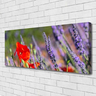 Quadro canvas Planta de flores