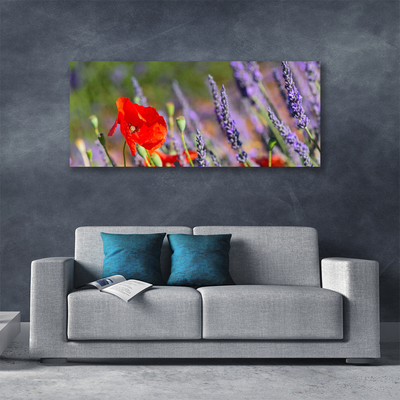 Quadro canvas Planta de flores