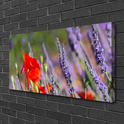 Quadro canvas Planta de flores