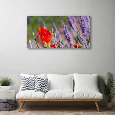 Quadro canvas Planta de flores