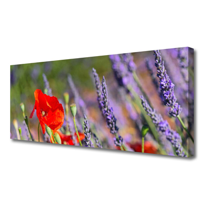 Quadro canvas Planta de flores