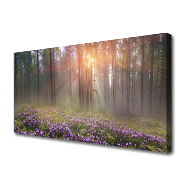 Quadro canvas Flores da Floresta Planta Natureza