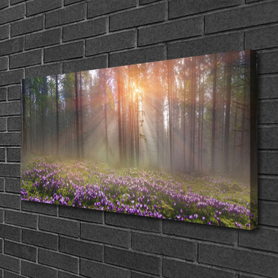 Quadro canvas Flores da Floresta Planta Natureza