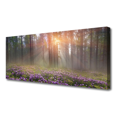 Quadro canvas Flores da Floresta Planta Natureza
