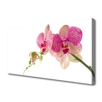 Quadro em tela Planta de flores