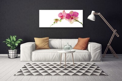 Quadro em tela Planta de flores