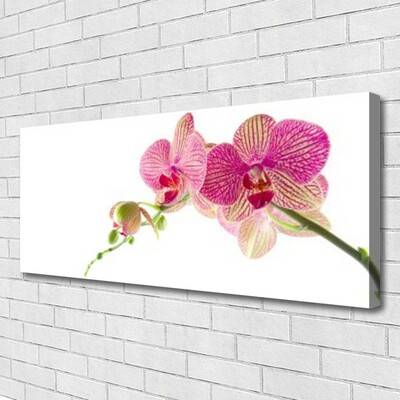 Quadro em tela Planta de flores