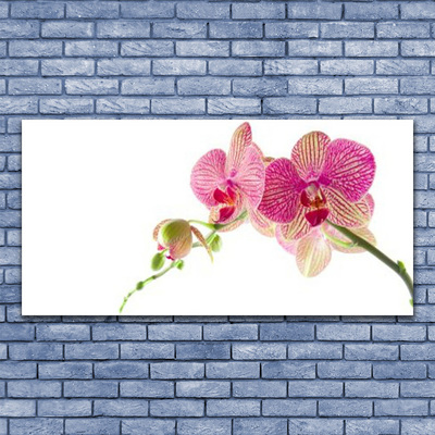 Quadro em tela Planta de flores