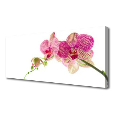 Quadro em tela Planta de flores