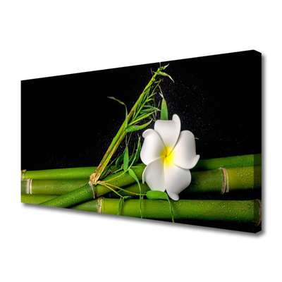 Quadro canvas Planta de flor de bambu