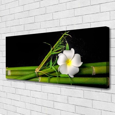 Quadro canvas Planta de flor de bambu
