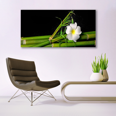 Quadro canvas Planta de flor de bambu