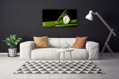 Quadro canvas Planta de flor de bambu