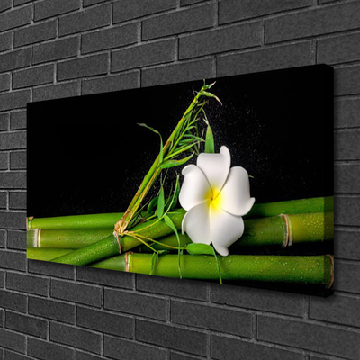 Quadro canvas Planta de flor de bambu