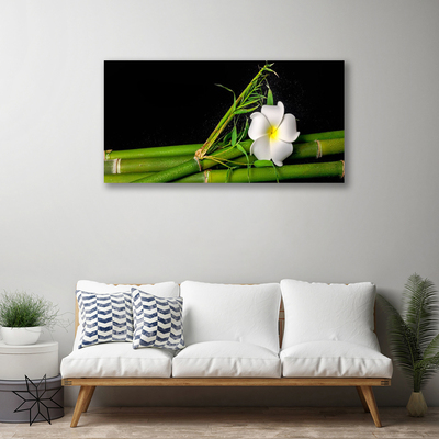 Quadro canvas Planta de flor de bambu