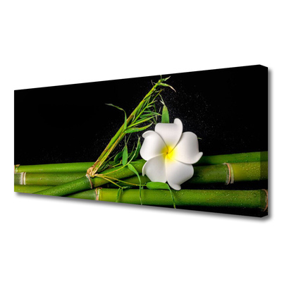 Quadro canvas Planta de flor de bambu