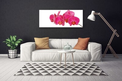 Quadro em tela Planta de flores