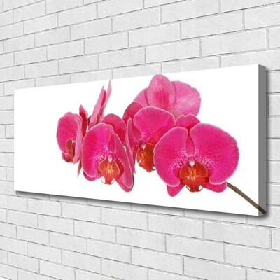 Quadro em tela Planta de flores