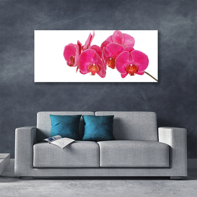 Quadro em tela Planta de flores