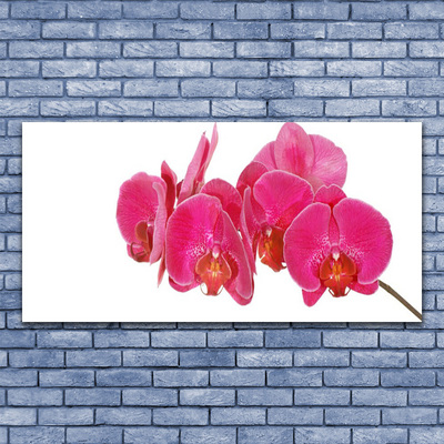 Quadro em tela Planta de flores