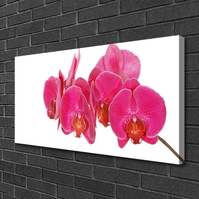 Quadro em tela Planta de flores