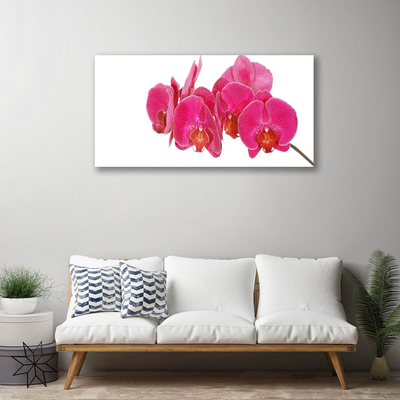 Quadro em tela Planta de flores