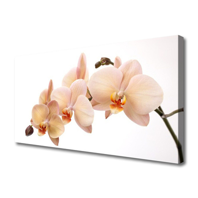 Quadro canvas Planta de flores