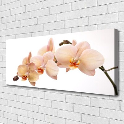 Quadro canvas Planta de flores