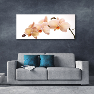 Quadro canvas Planta de flores