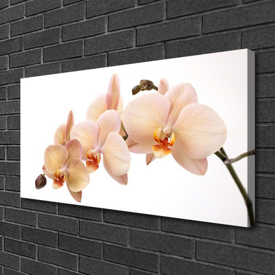 Quadro canvas Planta de flores