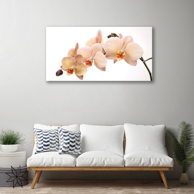 Quadro canvas Planta de flores