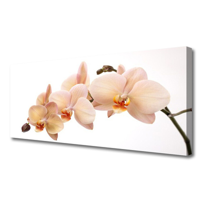 Quadro canvas Planta de flores