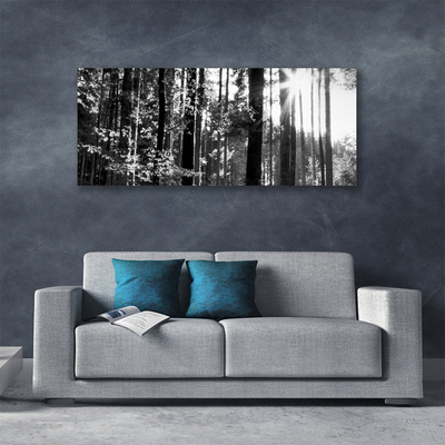 Quadro em tela Floresta Natureza Árvores