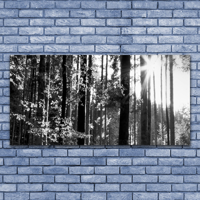 Quadro em tela Floresta Natureza Árvores