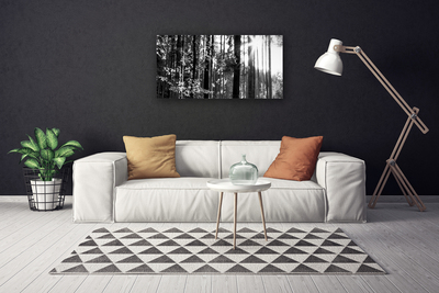 Quadro em tela Floresta Natureza Árvores