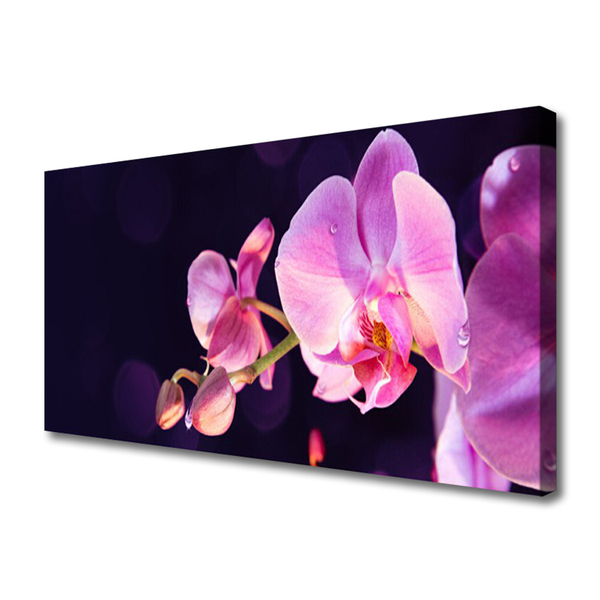 Quadro canvas Planta de flores
