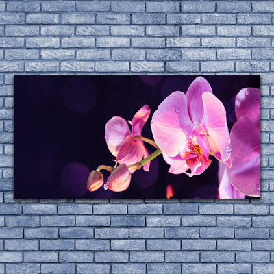 Quadro canvas Planta de flores