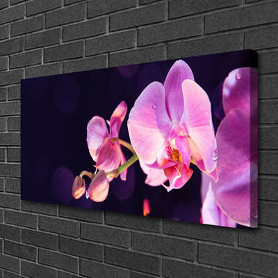 Quadro canvas Planta de flores