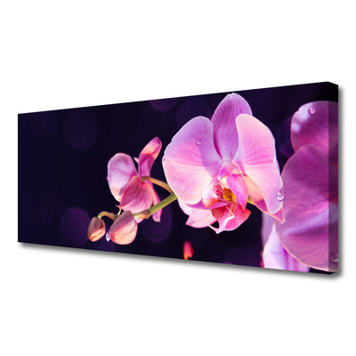 Quadro canvas Planta de flores