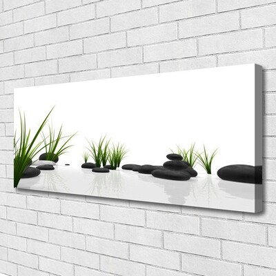 Quadro canvas Pedras Grama Arte