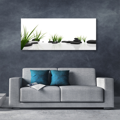 Quadro canvas Pedras Grama Arte